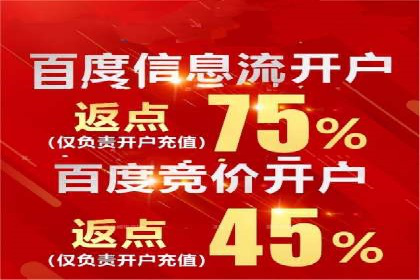 网络推广中竞价广告的投放策略及成功案例